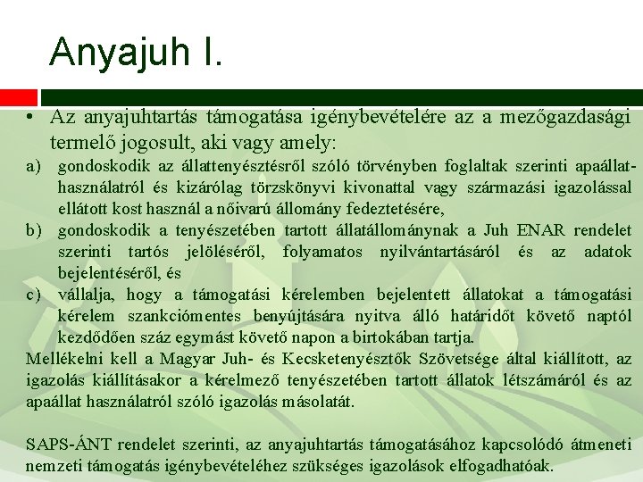 Anyajuh I. • Az anyajuhtartás támogatása igénybevételére az a mezőgazdasági termelő jogosult, aki vagy