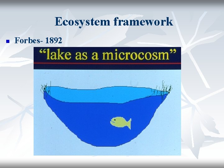 Ecosystem framework n Forbes- 1892 