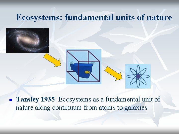 Ecosystems: fundamental units of nature n Tansley 1935: Ecosystems as a fundamental unit of