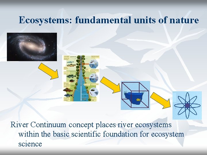 Ecosystems: fundamental units of nature River Continuum concept places river ecosystems within the basic