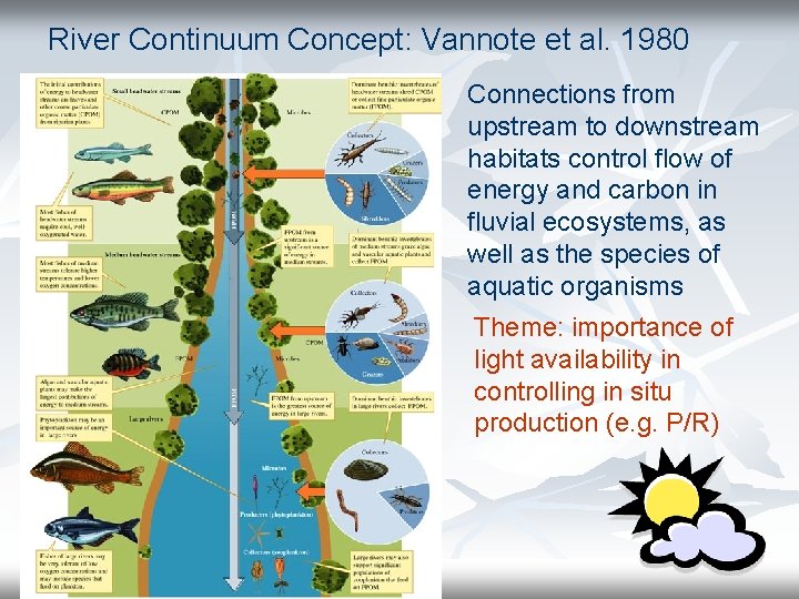 River Continuum Concept: Vannote et al. 1980 Connections from upstream to downstream habitats control