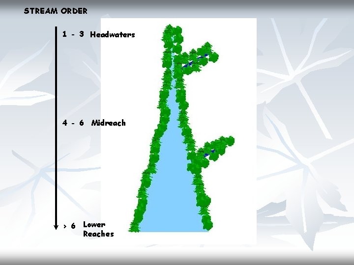 STREAM ORDER 1 - 3 Headwaters 4 - 6 Midreach > 6 Lower Reaches