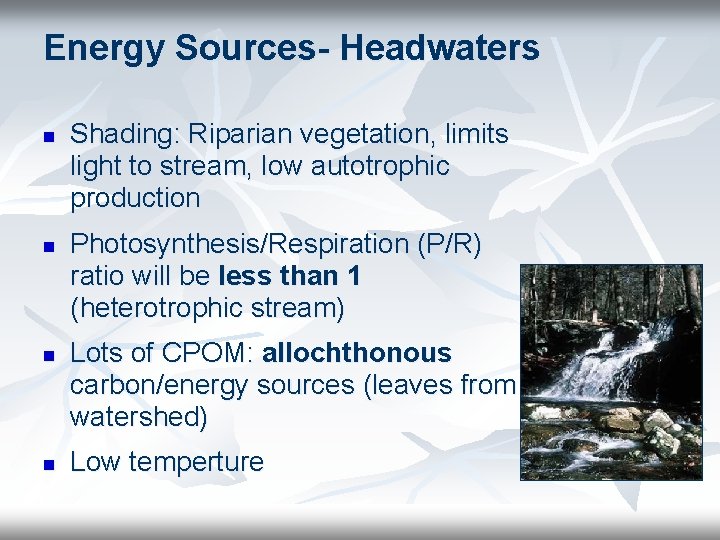 Energy Sources- Headwaters n n Shading: Riparian vegetation, limits light to stream, low autotrophic