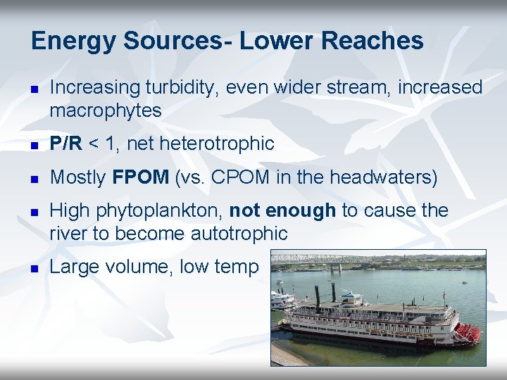 Energy Sources- Lower Reaches n Increasing turbidity, even wider stream, increased macrophytes n P/R