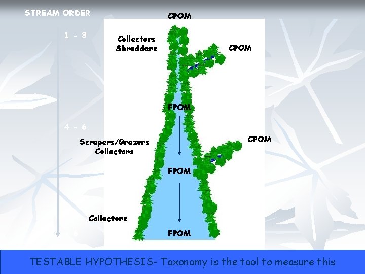 STREAM ORDER 1 - 3 CPOM Collectors Shredders CPOM FPOM 4 - 6 CPOM