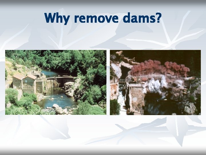 Why remove dams? 