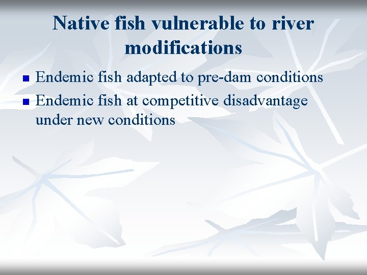 Native fish vulnerable to river modifications n n Endemic fish adapted to pre-dam conditions