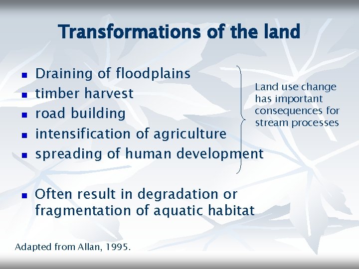 Transformations of the land n n n Draining of floodplains Land use change timber