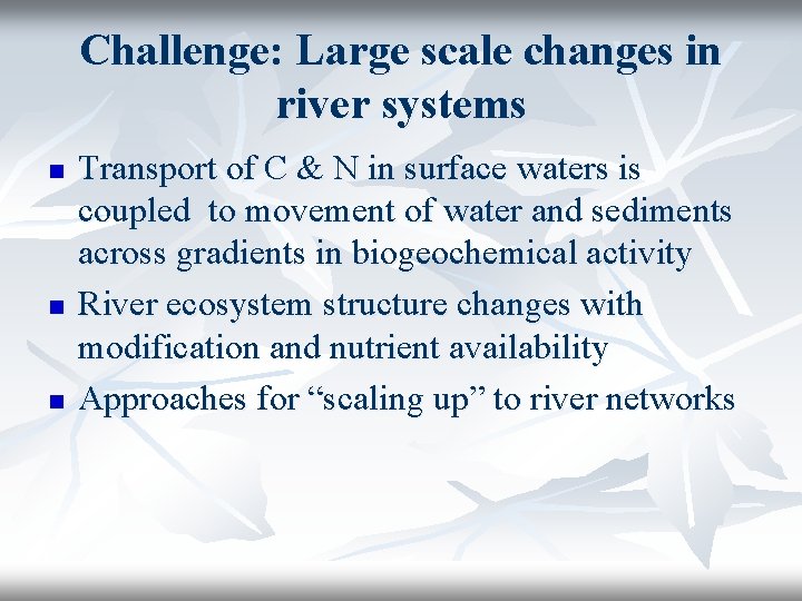 Challenge: Large scale changes in river systems n n n Transport of C &