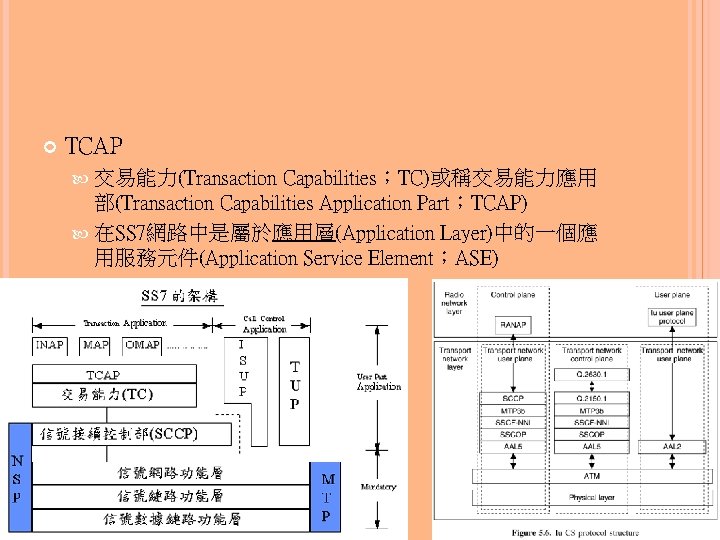 TCAP 交易能力(Transaction Capabilities；TC)或稱交易能力應用 部(Transaction Capabilities Application Part；TCAP) 在SS 7網路中是屬於應用層(Application Layer)中的一個應 用服務元件(Application Service Element；ASE)