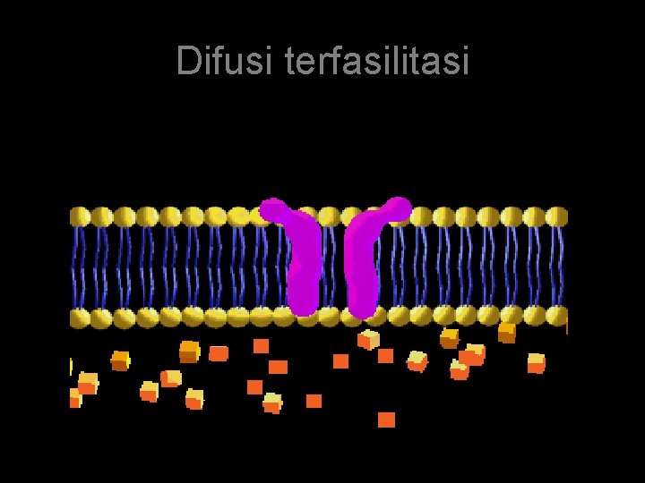 Difusi terfasilitasi 