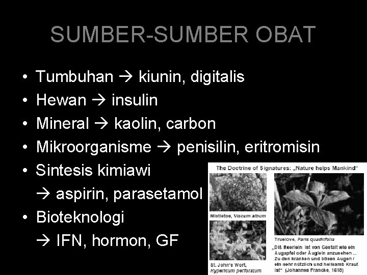 SUMBER-SUMBER OBAT • • • Tumbuhan kiunin, digitalis Hewan insulin Mineral kaolin, carbon Mikroorganisme