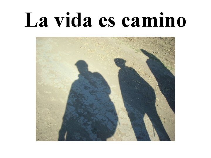 La vida es camino 