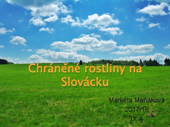 Chráněné rostliny na Slovácku Markéta Maňáková 2017/18 IX. A 