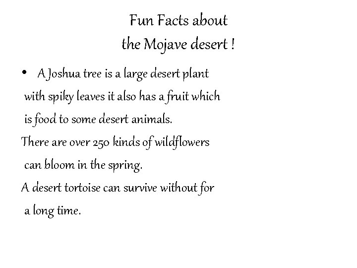 Fun Facts about the Mojave desert ! • A Joshua tree is a large