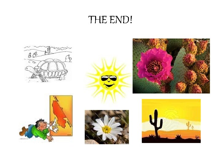 THE END! 