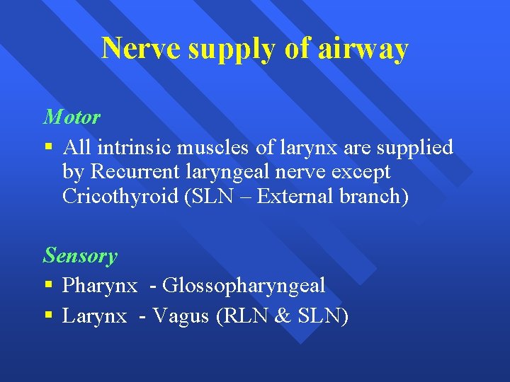 Nerve supply of airway Motor § All intrinsic muscles of larynx are supplied by