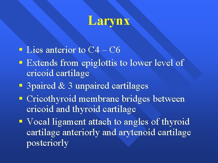 Larynx § Lies anterior to C 4 – C 6 § Extends from epiglottis