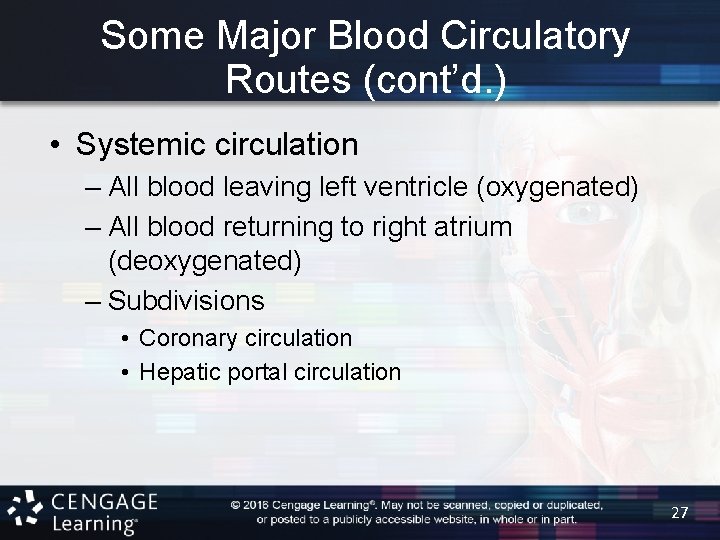 Some Major Blood Circulatory Routes (cont’d. ) • Systemic circulation – All blood leaving