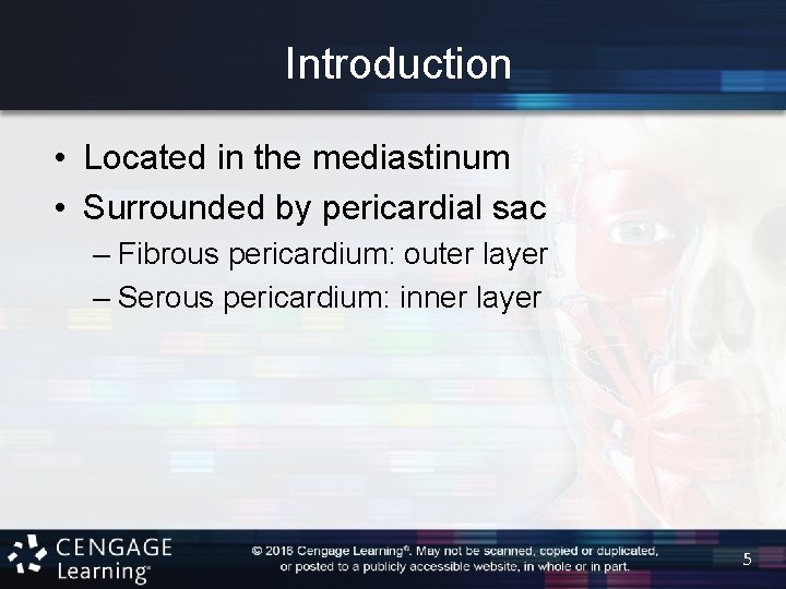 Introduction • Located in the mediastinum • Surrounded by pericardial sac – Fibrous pericardium: