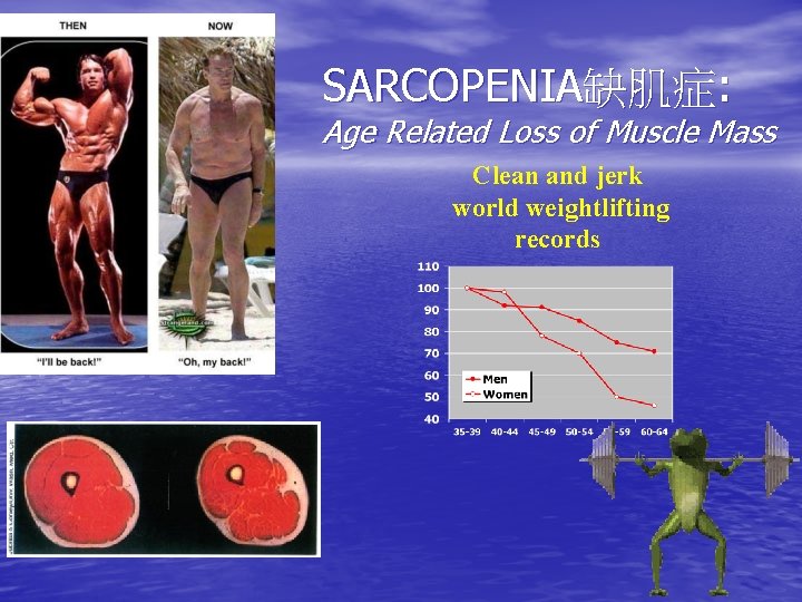 SARCOPENIA缺肌症: Age Related Loss of Muscle Mass Clean and jerk world weightlifting records 