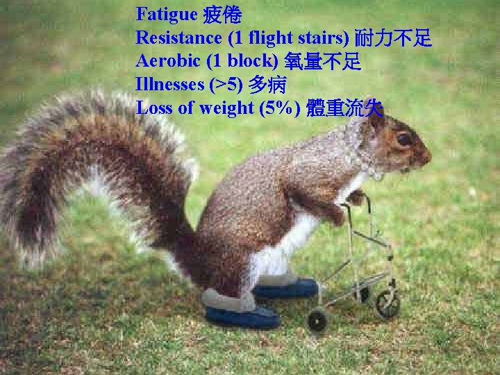 Fatigue 疲倦 Resistance (1 flight stairs) 耐力不足 Aerobic (1 block) 氧量不足 Illnesses (>5) 多病