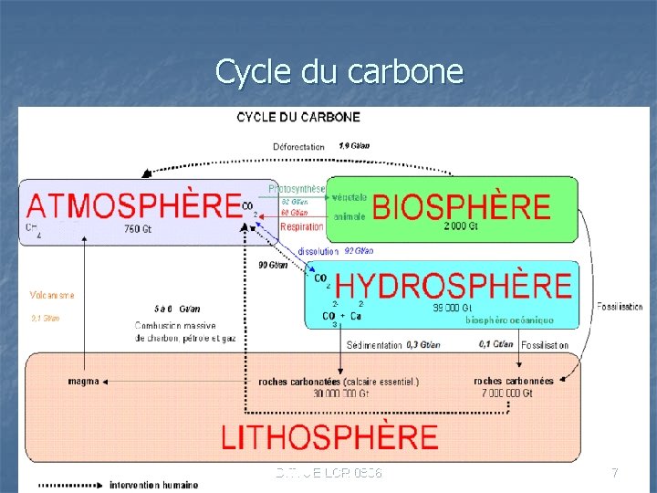 Cycle du carbone D. T. UE LCR 0806 7 