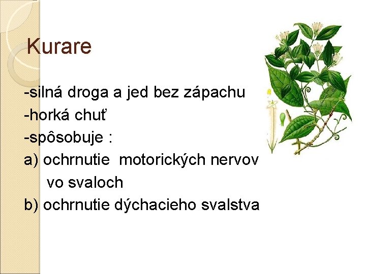 Kurare -silná droga a jed bez zápachu -horká chuť -spôsobuje : a) ochrnutie motorických Kurare -silná droga a jed bez zápachu -horká chuť -spôsobuje : a) ochrnutie motorických