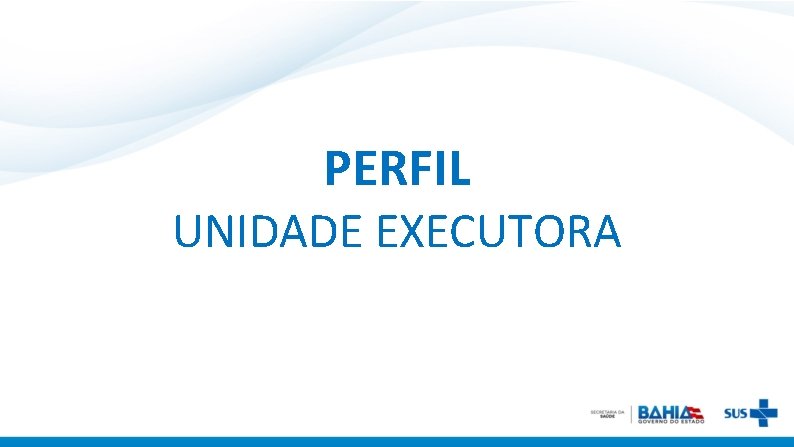 PERFIL UNIDADE EXECUTORA 