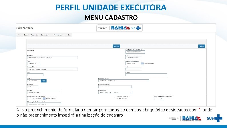 PERFIL UNIDADE EXECUTORA MENU CADASTRO Ø No preenchimento do formulário atentar para todos os