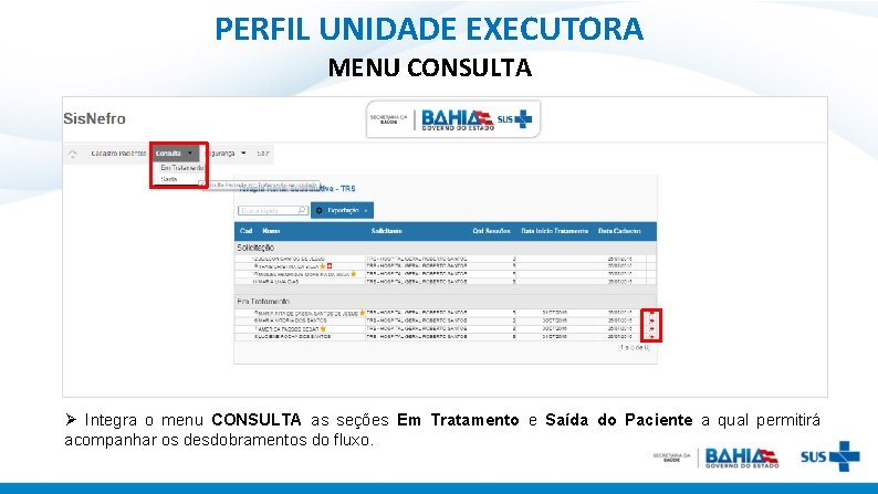 PERFIL UNIDADE EXECUTORA MENU CONSULTA Ø Integra o menu CONSULTA as seções Em Tratamento