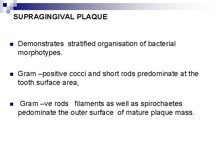 SUPRAGINGIVAL PLAQUE n Demonstrates stratified organisation of bacterial morphotypes. n Gram –positive cocci and