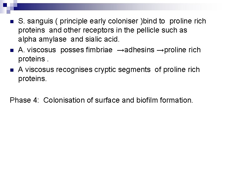 n n n S. sanguis ( principle early coloniser )bind to proline rich proteins