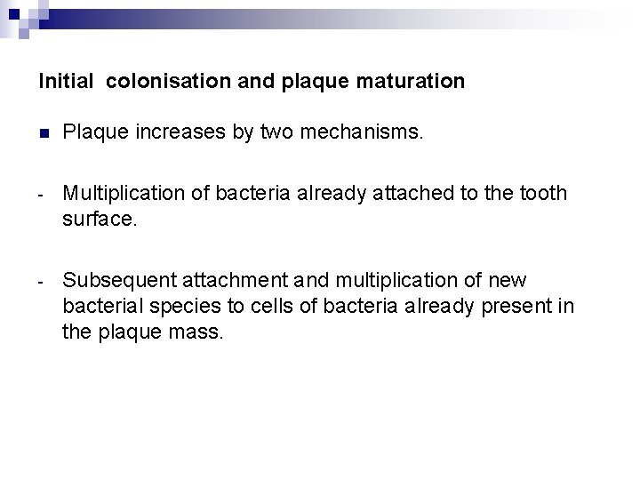 Initial colonisation and plaque maturation n Plaque increases by two mechanisms. - Multiplication of