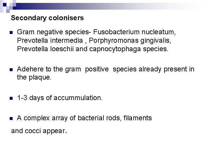 Secondary colonisers n Gram negative species- Fusobacterium nucleatum, Prevotella intermedia , Porphyromonas gingivalis, Prevotella