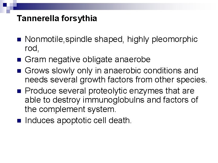 Tannerella forsythia n n n Nonmotile, spindle shaped, highly pleomorphic rod, Gram negative obligate