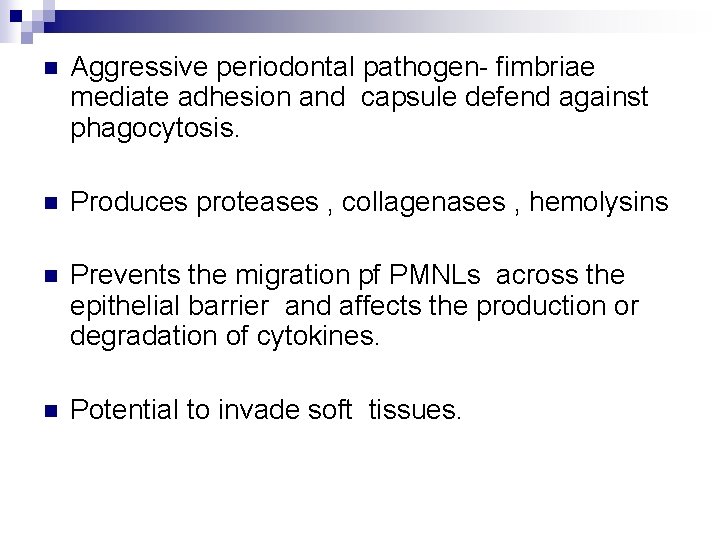 n Aggressive periodontal pathogen- fimbriae mediate adhesion and capsule defend against phagocytosis. n Produces