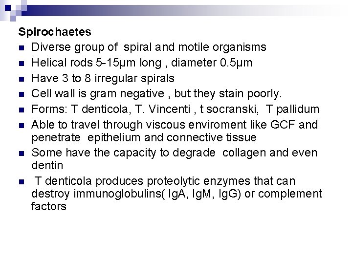 Spirochaetes n Diverse group of spiral and motile organisms n Helical rods 5 -15µm