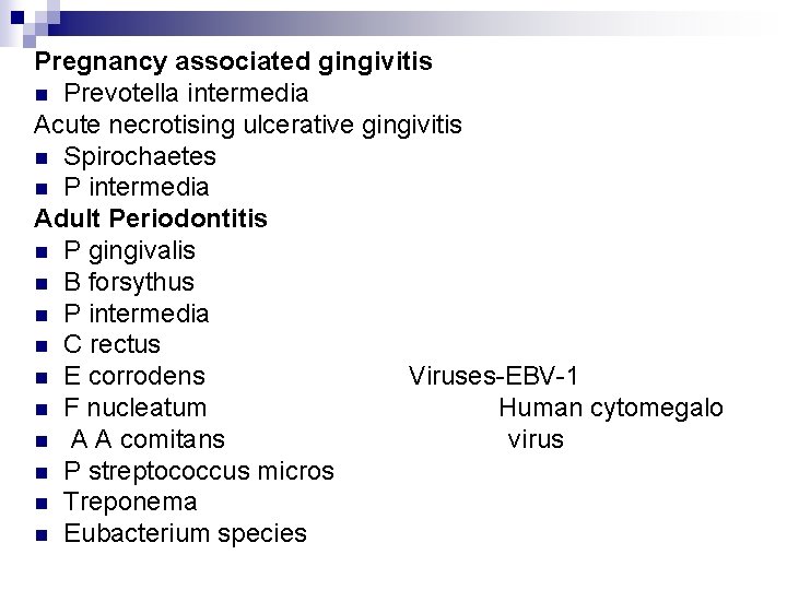 Pregnancy associated gingivitis n Prevotella intermedia Acute necrotising ulcerative gingivitis n Spirochaetes n P