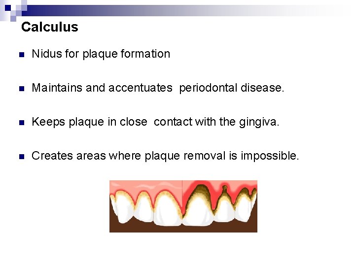 Calculus n Nidus for plaque formation n Maintains and accentuates periodontal disease. n Keeps