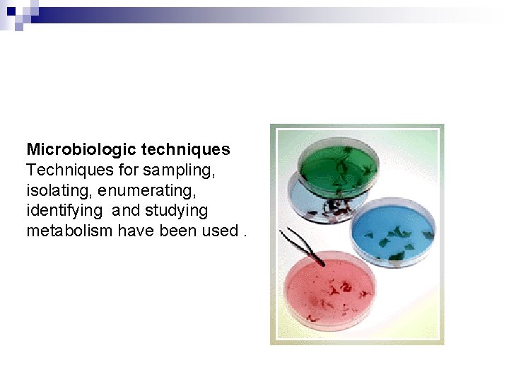 Microbiologic techniques Techniques for sampling, isolating, enumerating, identifying and studying metabolism have been used.