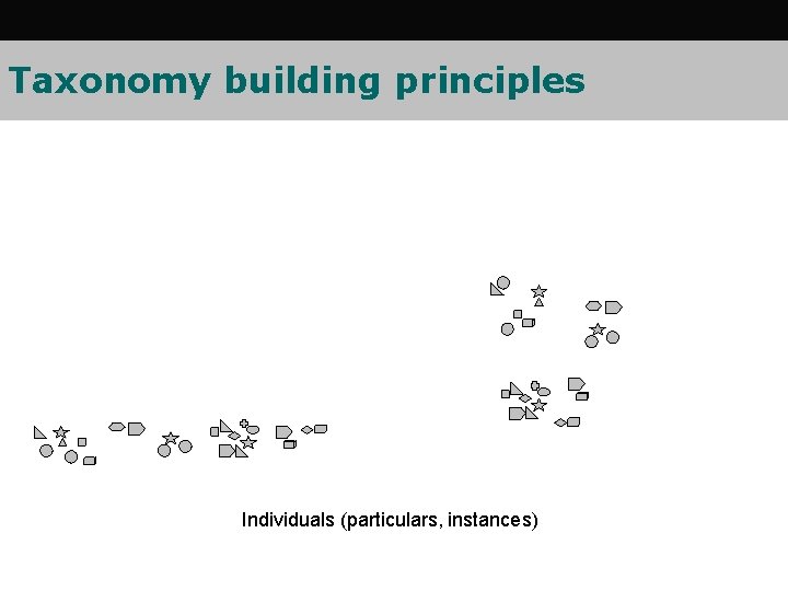 Taxonomy building principles Individuals (particulars, instances) Taxonomy building principles Individuals (particulars, instances)