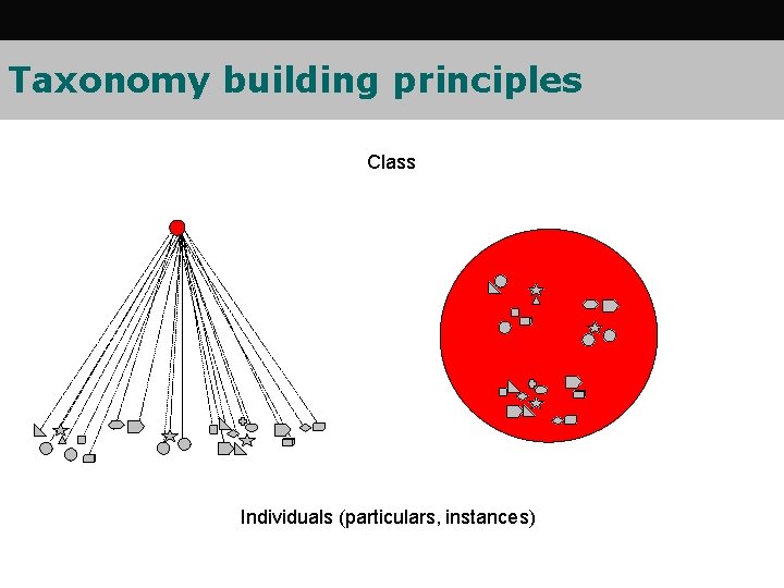 Taxonomy building principles Class Individuals (particulars, instances) Taxonomy building principles Class Individuals (particulars, instances)