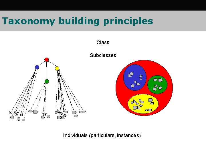 Taxonomy building principles Class Subclasses Individuals (particulars, instances) Taxonomy building principles Class Subclasses Individuals (particulars, instances)