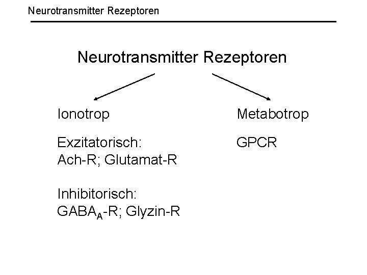Neurotransmitter Rezeptoren Ionotrop Metabotrop Exzitatorisch: Ach-R; Glutamat-R GPCR Inhibitorisch: GABAA-R; Glyzin-R 