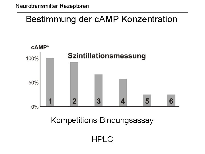 Neurotransmitter Rezeptoren Bestimmung der c. AMP Konzentration Kompetitions-Bindungsassay HPLC 