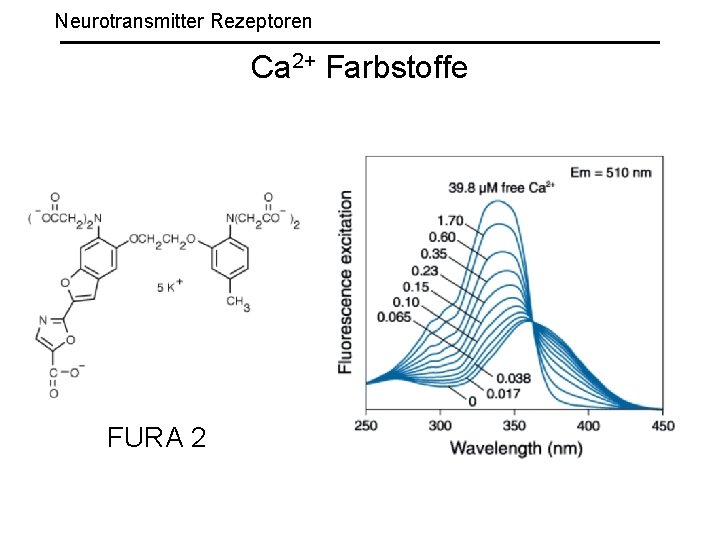 Neurotransmitter Rezeptoren Ca 2+ Farbstoffe FURA 2 