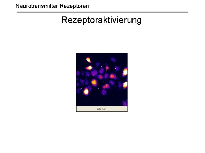 Neurotransmitter Rezeptoren Rezeptoraktivierung 