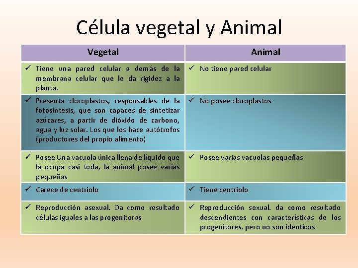 Célula vegetal y Animal Vegetal Animal ü Tiene una pared celular a demás de