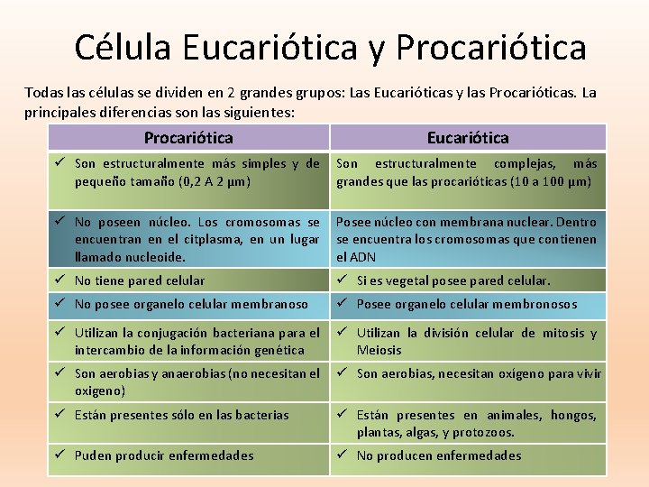 Célula Eucariótica y Procariótica Todas las células se dividen en 2 grandes grupos: Las